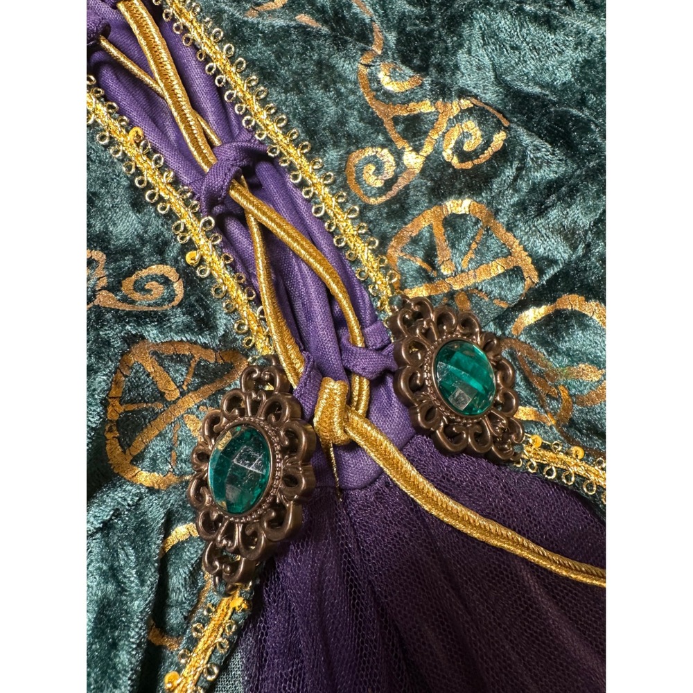 Disney Hocus Pocus Winifred Sanderson Costume Green Velvet Dress Plus 1X Spirit - Picture 12 of 14